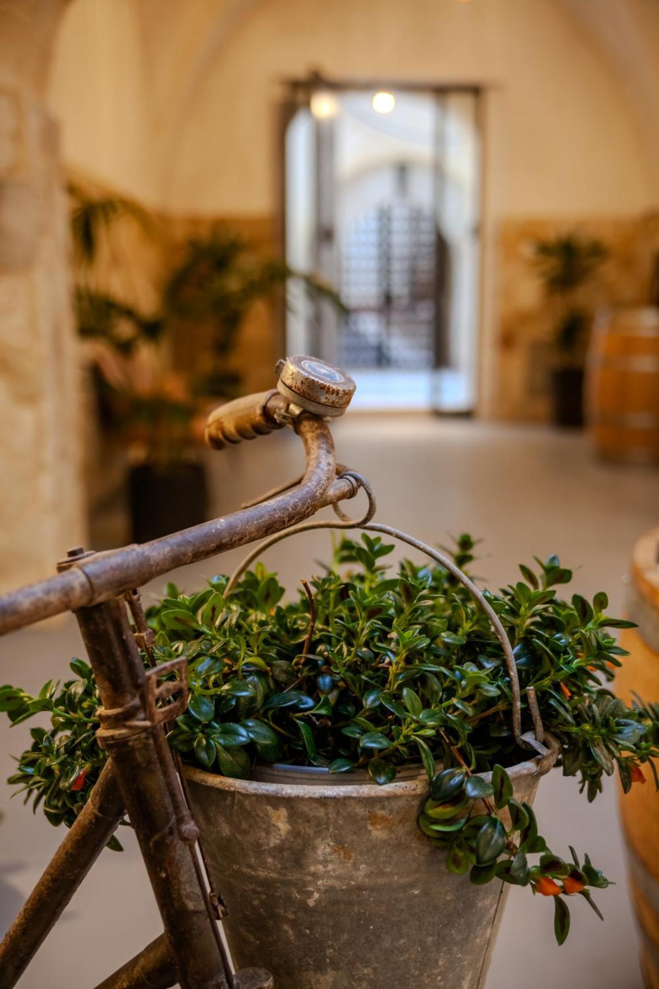 Residenza San Giovannello مارسالا المظهر الخارجي الصورة